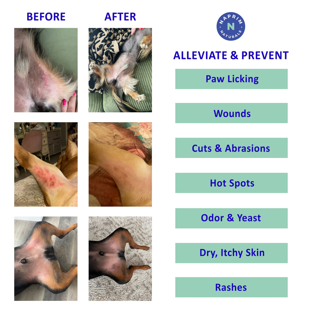 Pet Grooming Supplies product image 2