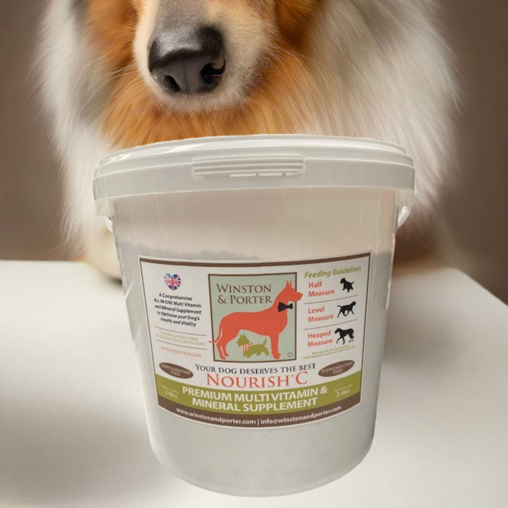 Dog Multivitamin Supplement product image 1