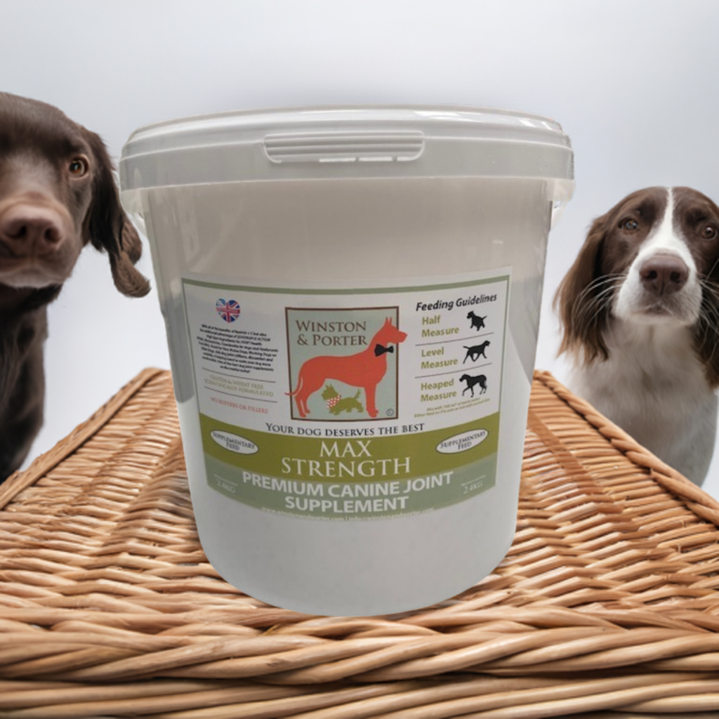 Canine Joint Supplement product image 1