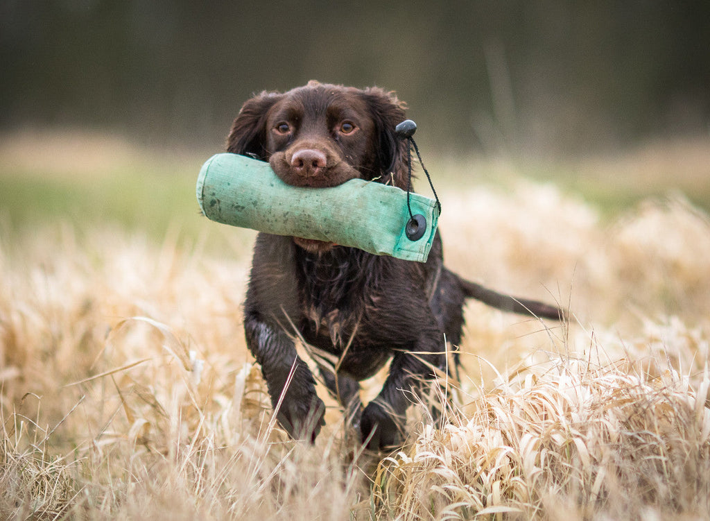 Canine Joint Supplement product image 6