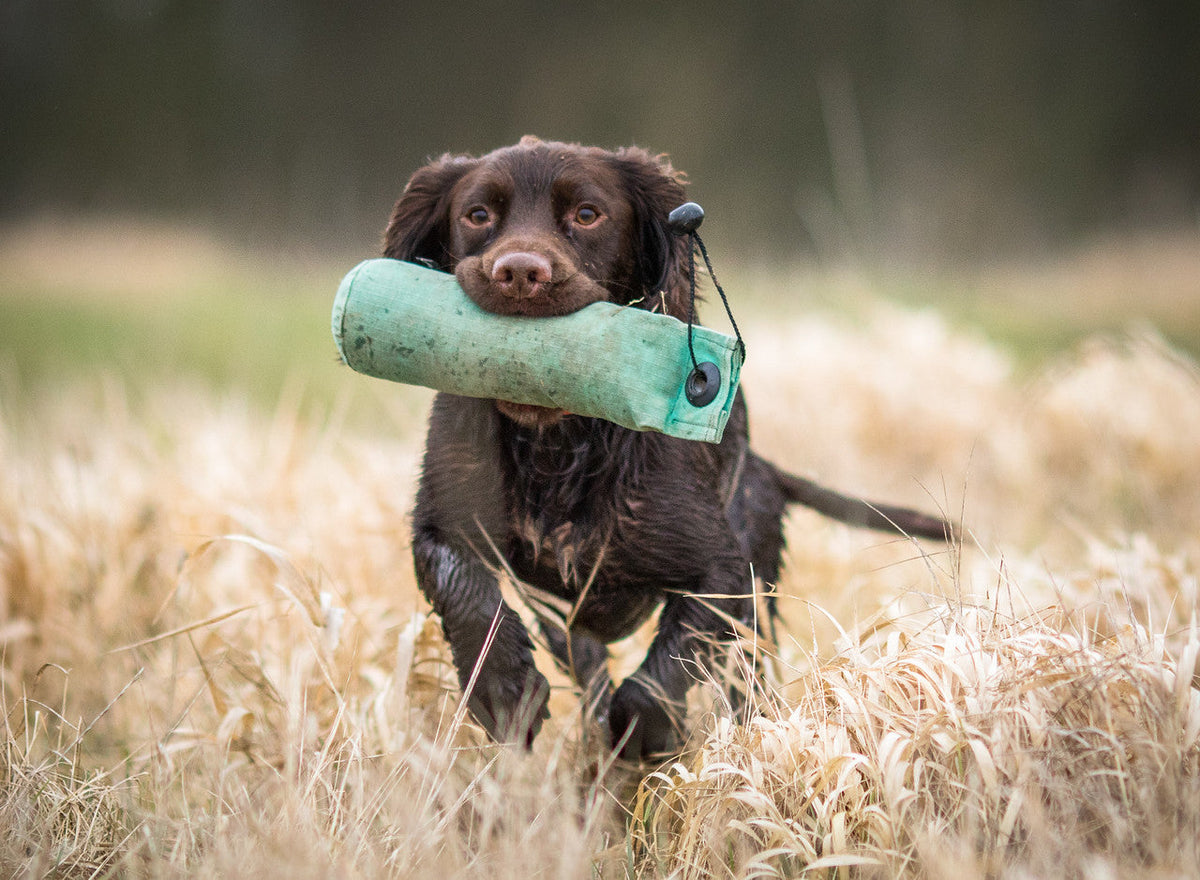 Canine Joint Supplement product image 6