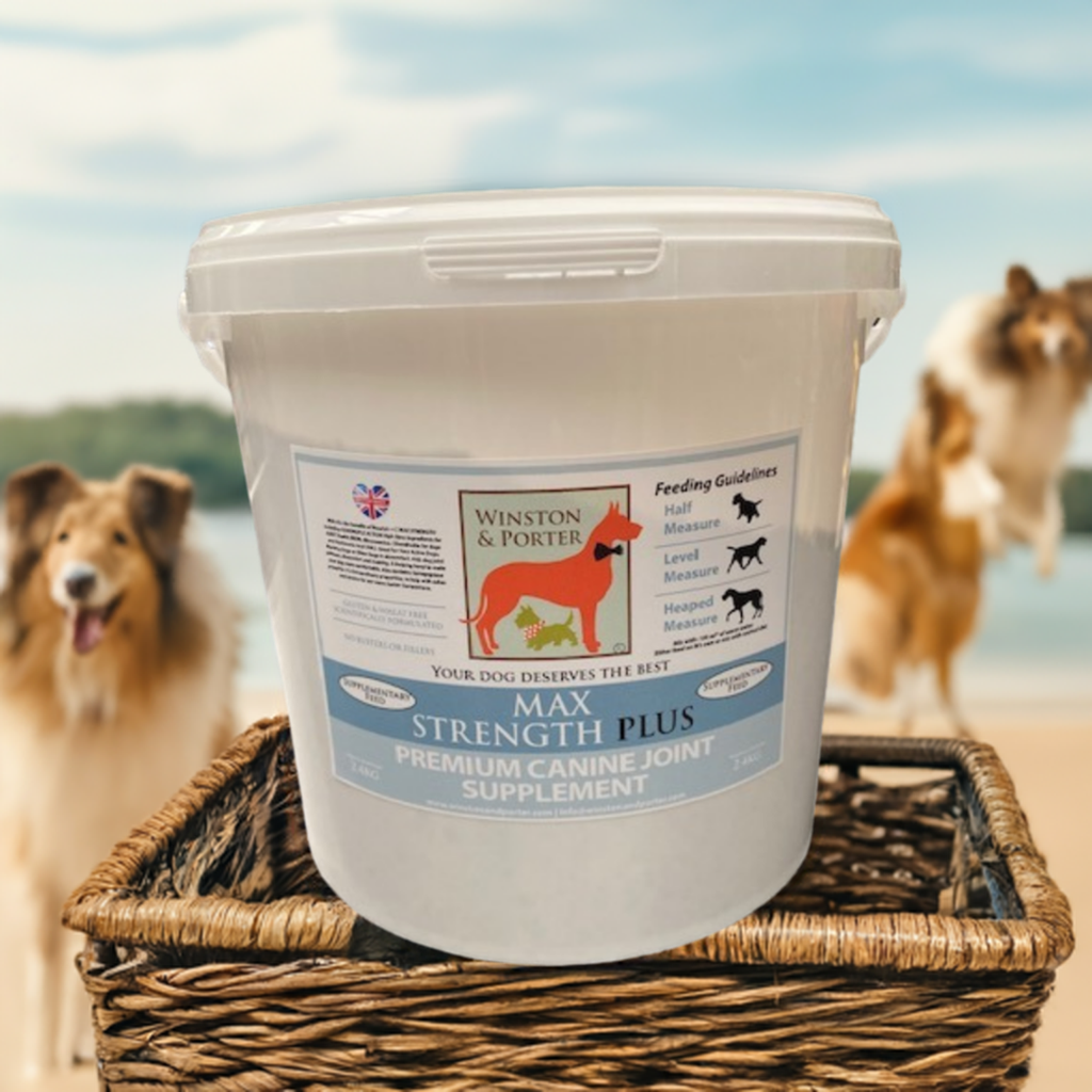 Dog Joint Supplement product image 1