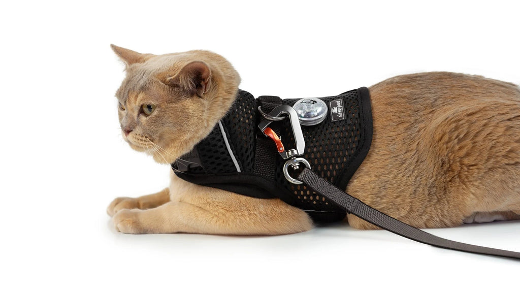 Martingale Calming Cat Walking Harness product image 1