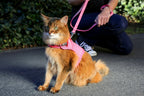 Martingale Calming Cat Walking Harness product image 8