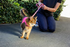 Martingale Calming Cat Walking Harness product image 9