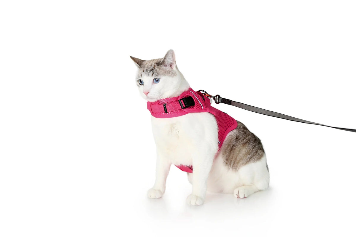 Martingale Calming Cat Walking Harness product image 11