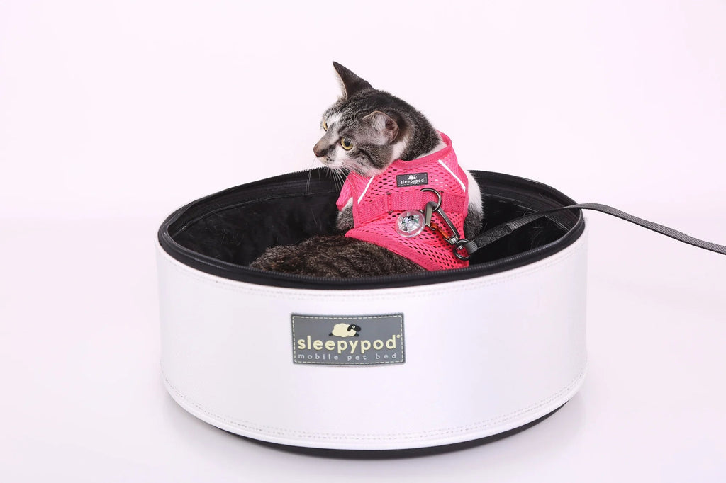 Martingale Calming Cat Walking Harness product image 12