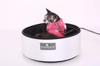 Martingale Calming Cat Walking Harness product image 12
