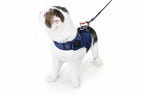 Martingale Calming Cat Walking Harness product image 15