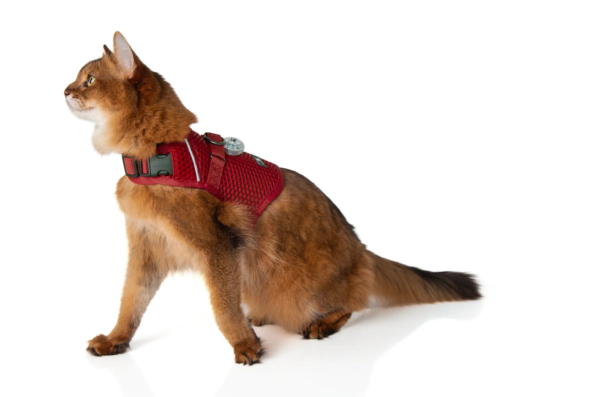 Martingale Calming Cat Walking Harness product image 16