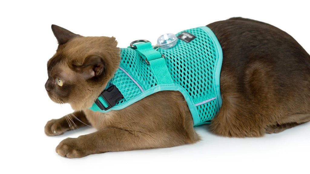 Martingale Calming Cat Walking Harness product image 18
