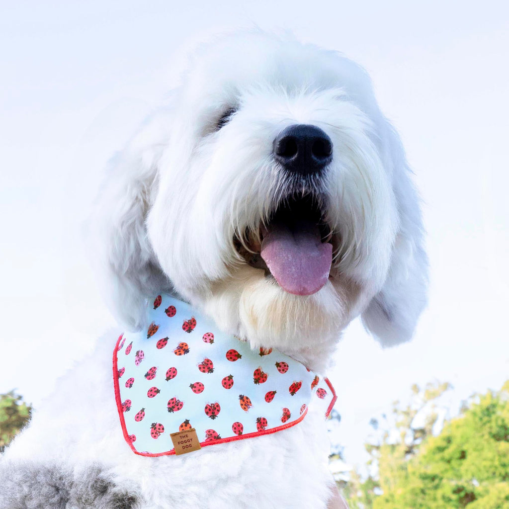 Dog Bandana product image 3