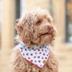 Dog Bandana product image 4