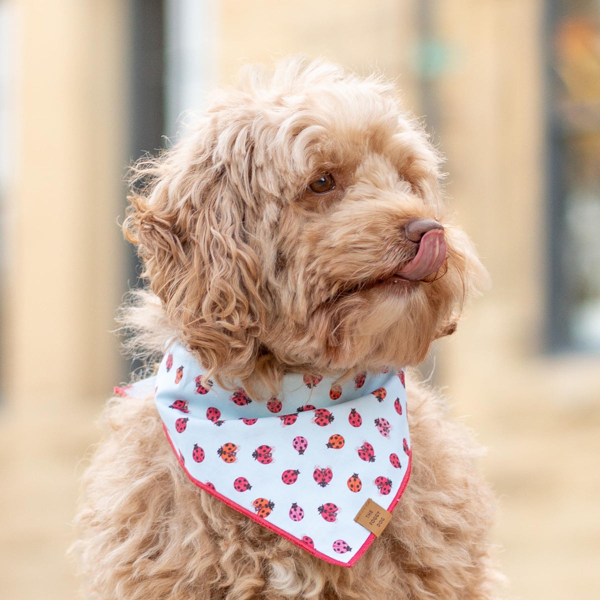 Dog Bandana product image 4