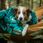 A dog in a blue Sherpa Fleece Waterproof Blanket lies in a yellow hammock in the woods, gazing at the camera.
