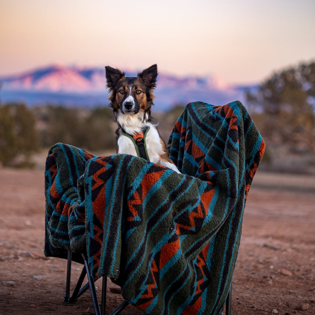 A dog sits on a camping chair with a colorful Sherpa Fleece Waterproof Blanket, set against a desert landscape. The backdrop showcases the soft hues of mountains and a clear sky at sunset.