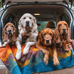 Four dogs of various breeds relax side by side on a Sherpa Fleece Waterproof Blanket in the open trunk of a car, looking at the camera. They’re outdoors among trees, showcasing the blanket’s comfort and durability for pets.