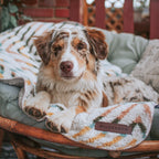 A relaxed, brown-and-white Australian Shepherd with a spotted coat lounges on a cozy, cushioned chair. It is partially covered by the Sherpa Fleece Waterproof Blanket from Wilderdog. The background features wooden elements and a brick wall.