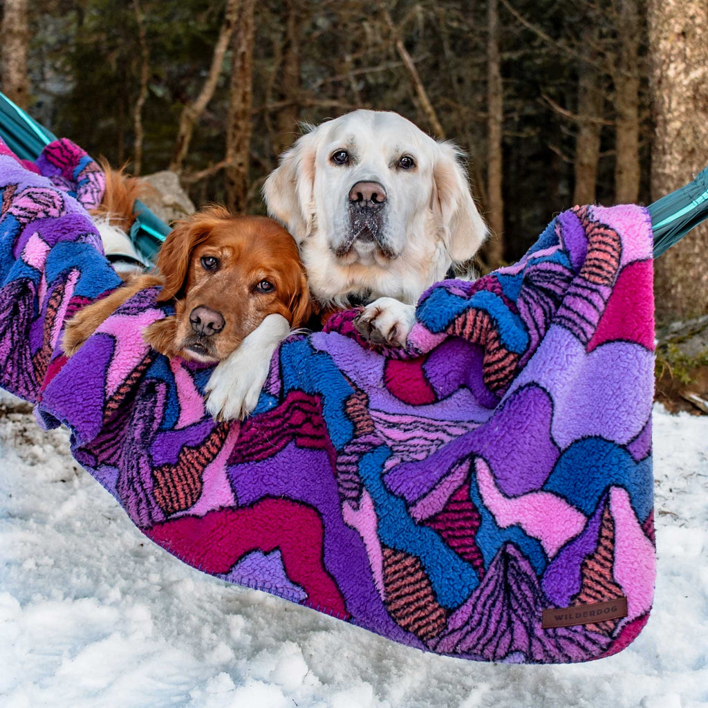 Two dogs, one golden and one white, lie together in a hammock outdoors wrapped in a colorful Sherpa Fleece Waterproof Blanket. Snow blankets the ground, with trees visible in the background.