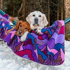 Two dogs, one golden and one white, lie together in a hammock outdoors wrapped in a colorful Sherpa Fleece Waterproof Blanket. Snow blankets the ground, with trees visible in the background.