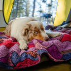 A brown and white dog with blue eyes relaxes on a colorful, patterned Sherpa Fleece Waterproof Blanket inside a tent, looking cozy with trees visible outside.