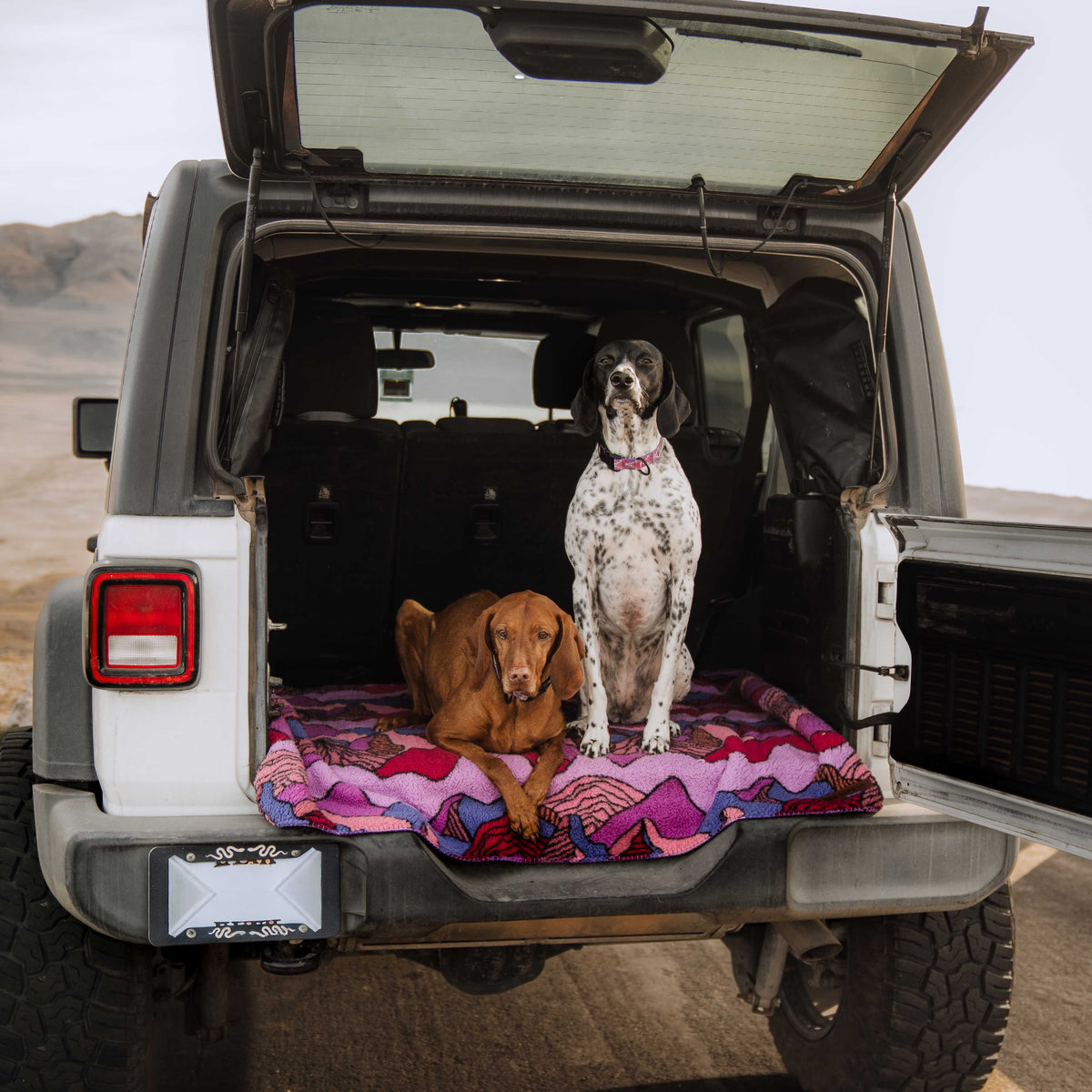Two dogs, one brown lying down and one white with black spots sitting, are in the back of an open SUV on a Sherpa Fleece Waterproof Blanket. The vehicle is outdoors on dirt, with mountains visible in the background.
