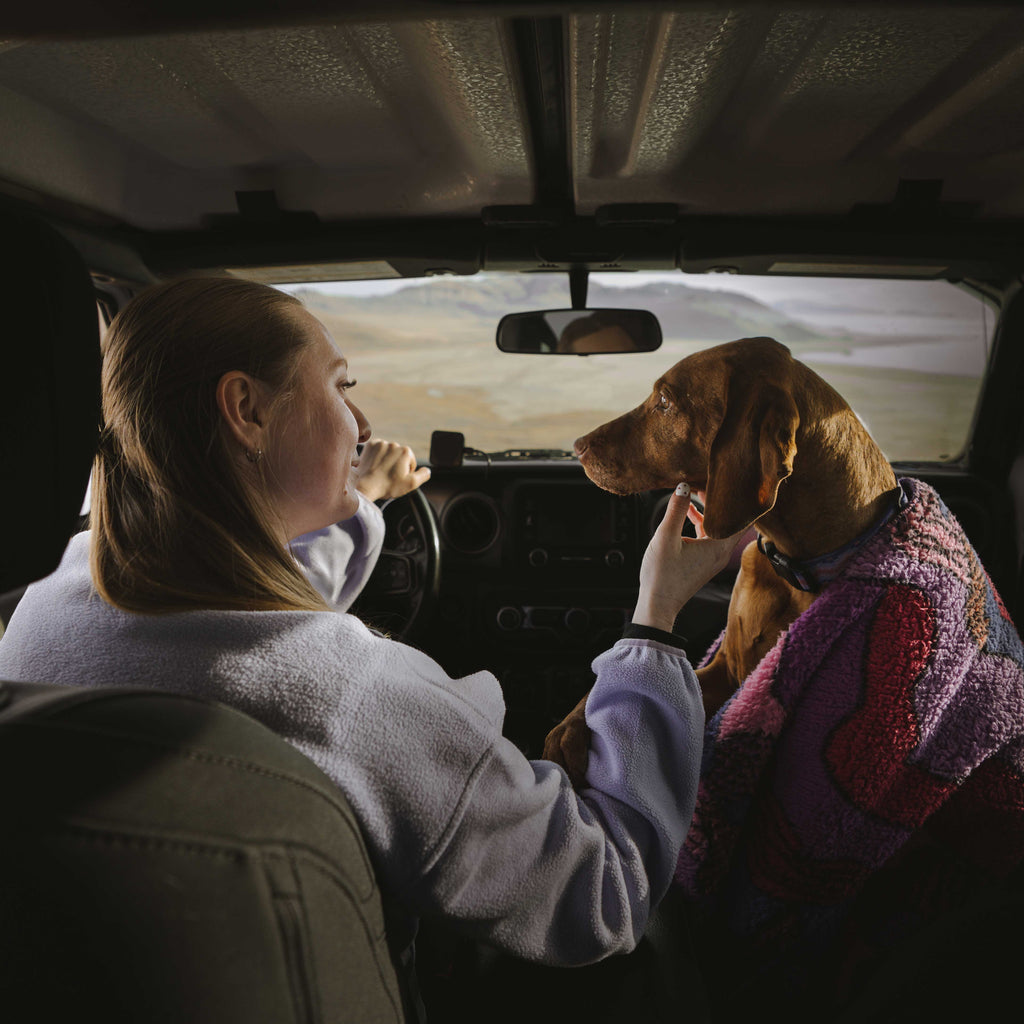 A woman sits in the driver’s seat of a car, gently holding a brown dog wrapped in a Sherpa Fleece Waterproof Blanket on the passenger seat. They look at each other as daylight streams in and a scenic landscape is visible through the windshield.