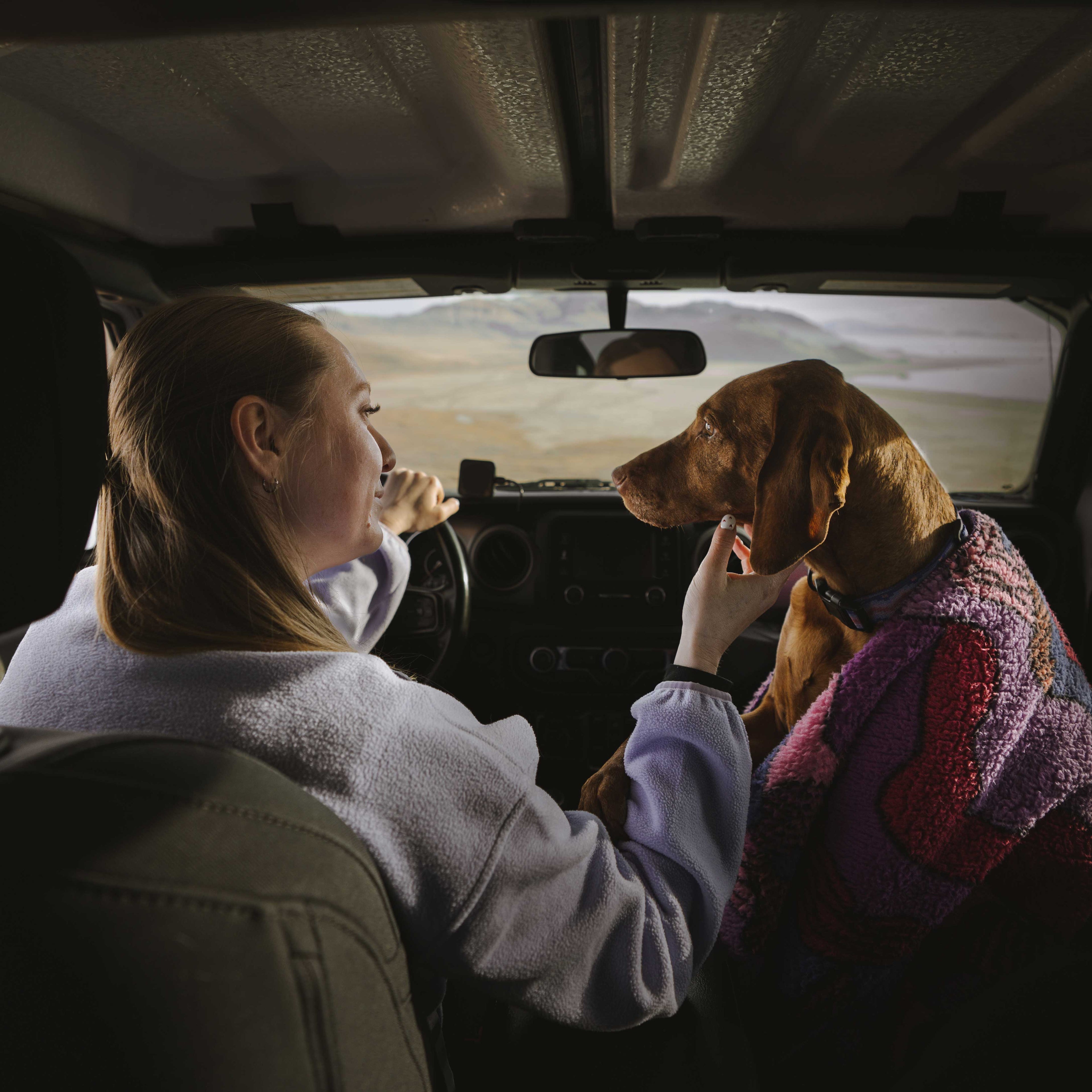 A woman sits in the driver’s seat of a car, gently holding a brown dog wrapped in a Sherpa Fleece Waterproof Blanket on the passenger seat. They look at each other as daylight streams in and a scenic landscape is visible through the windshield.