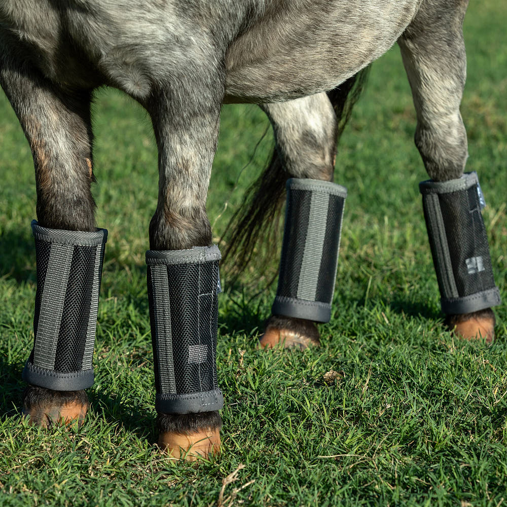 Horse Fly Boots product image 3