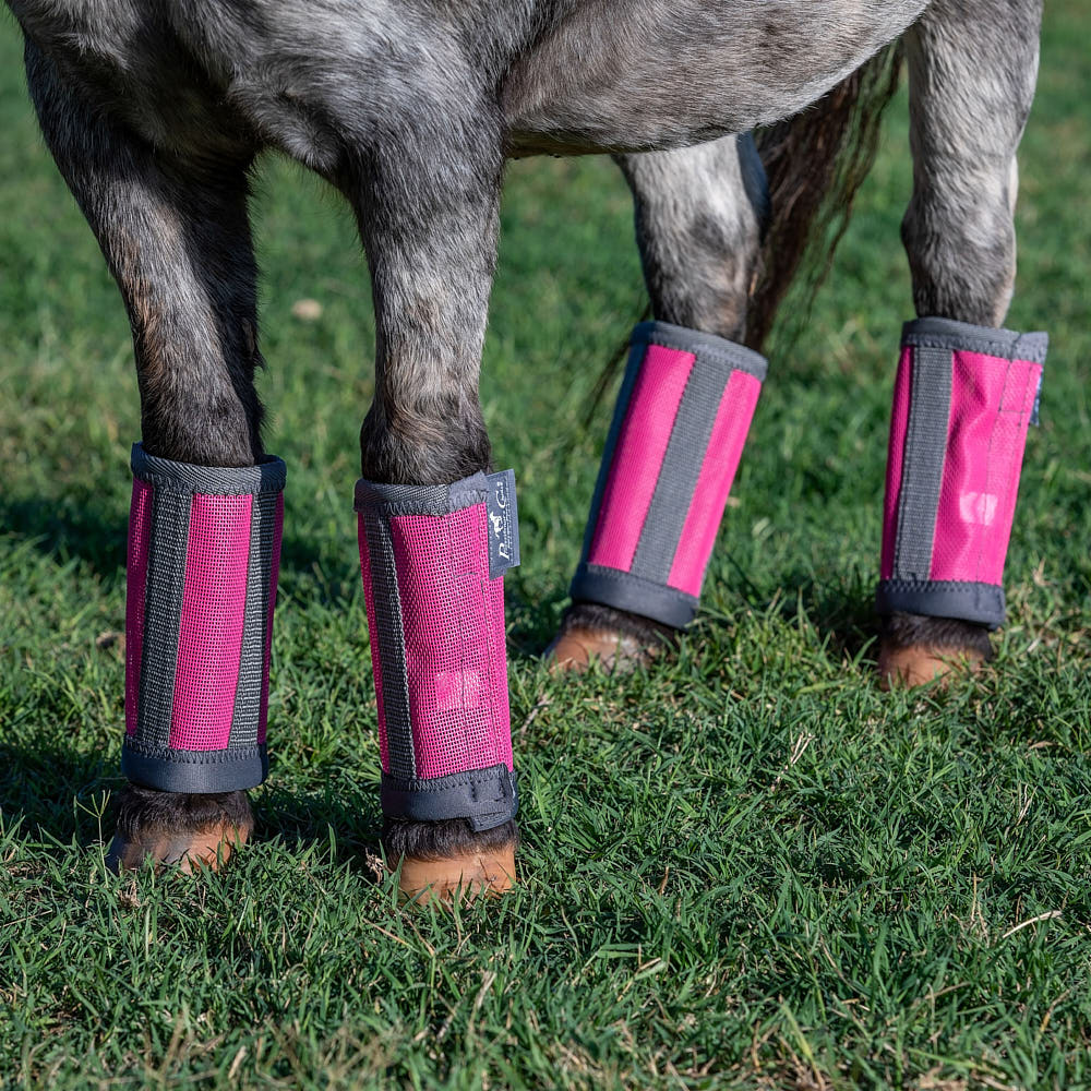 Horse Fly Boots product image 5