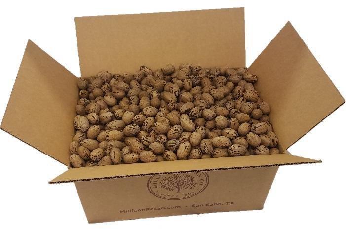 Macaw Parrot Pecans product image 1