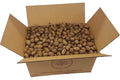 Macaw Parrot Pecans product image 1