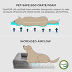 Orthopedic Pet Bed product image 3