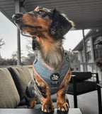 Adjustable Dog Harness product image 9