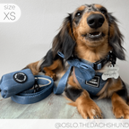 Adjustable Dog Harness product image 11
