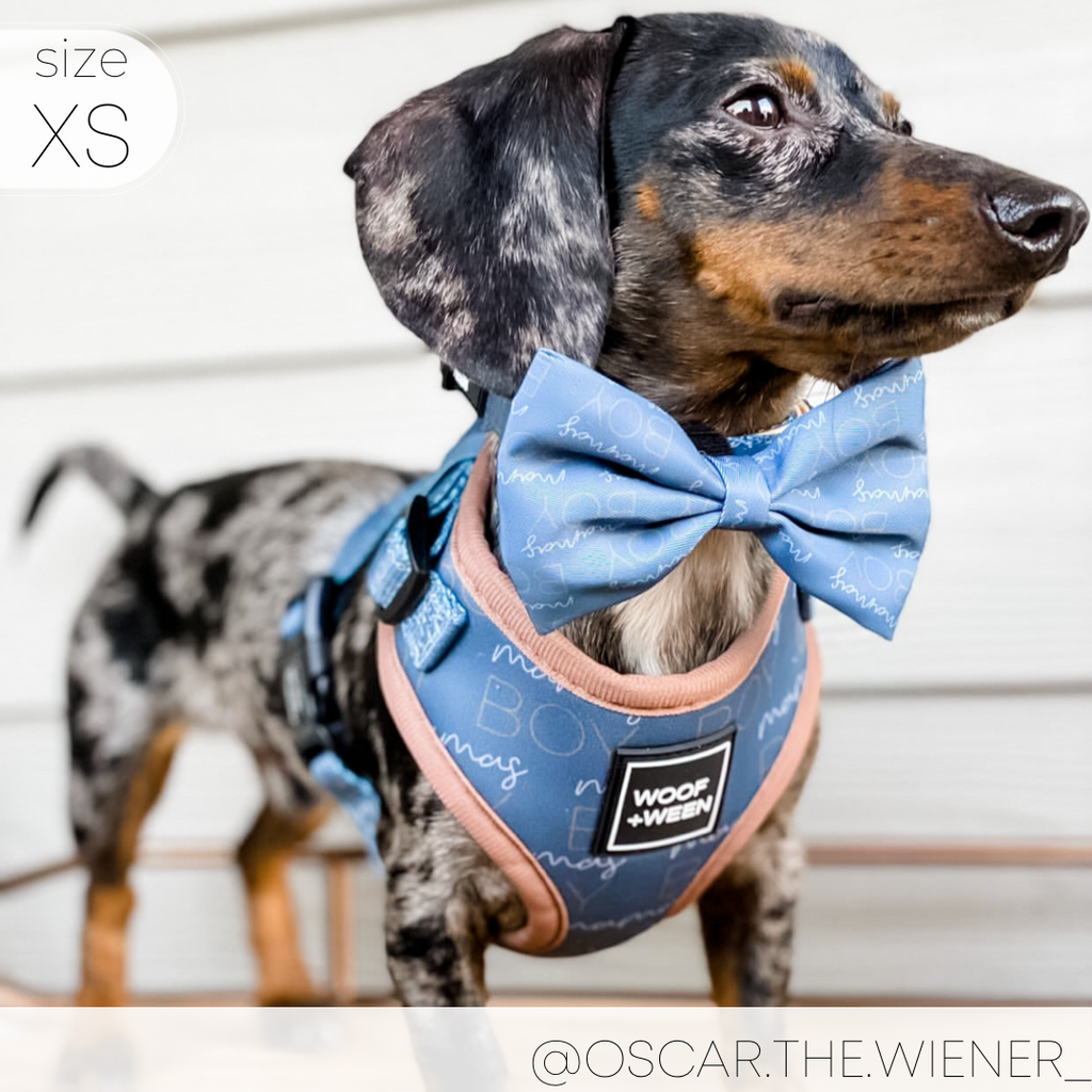 Adjustable Dog Harness product image 13