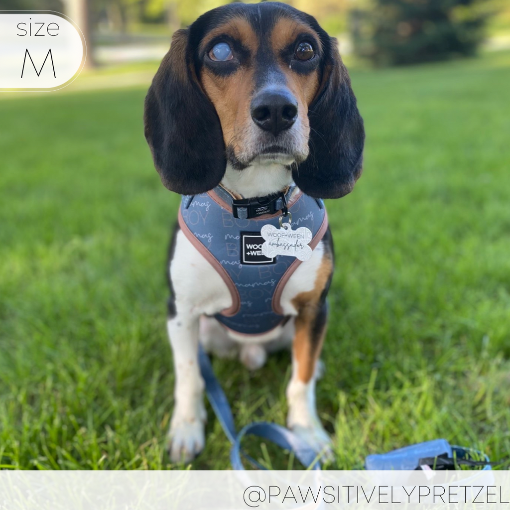 Adjustable Dog Harness product image 14
