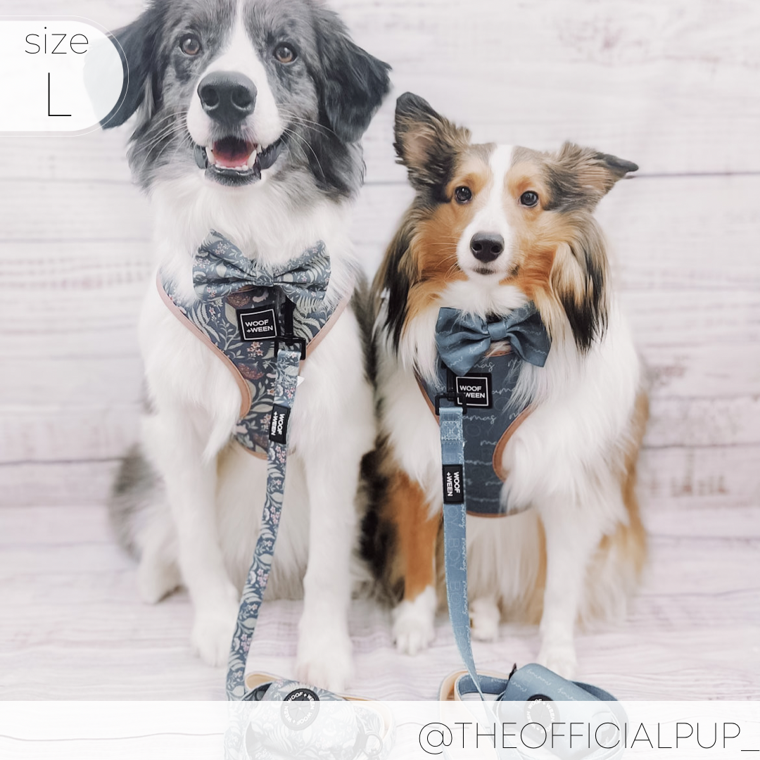 Adjustable Dog Harness product image 15