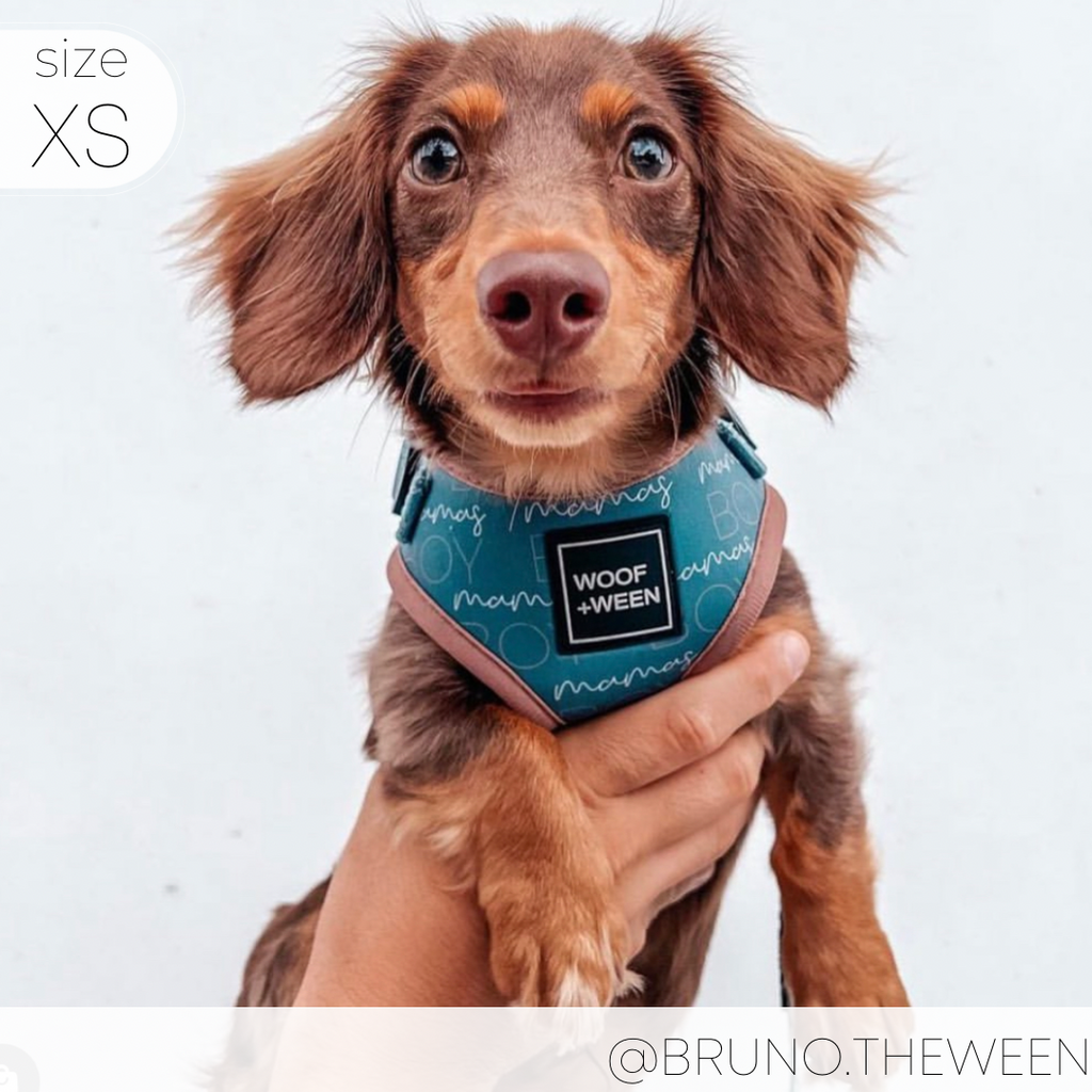 Adjustable Dog Harness product image 16