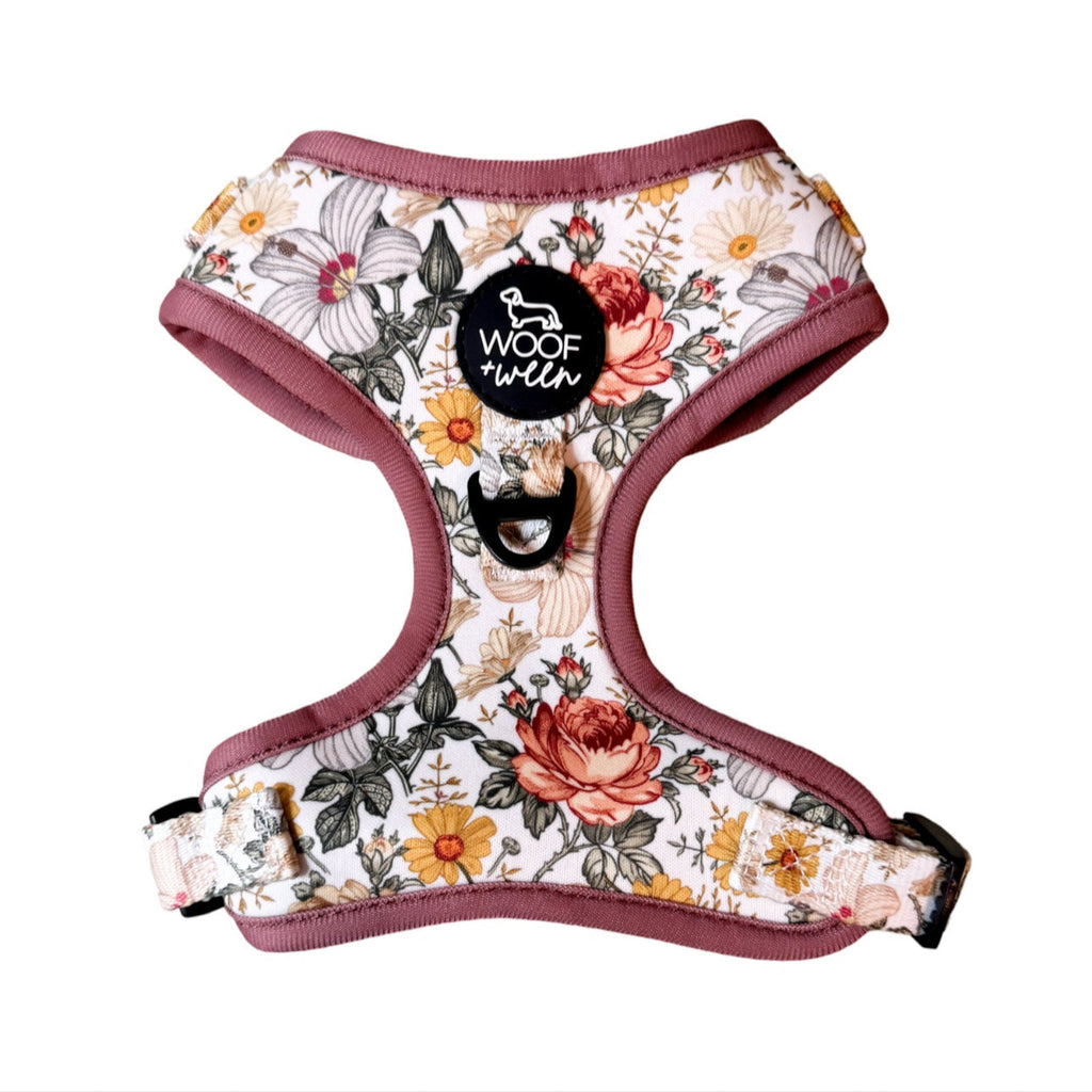 Adjustable Dog Harness product image 1