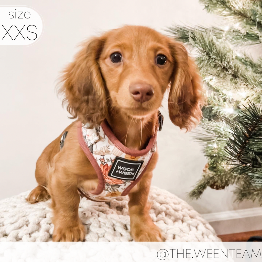 Adjustable Dog Harness product image 5