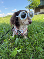 Adjustable Dog Harness product image 7