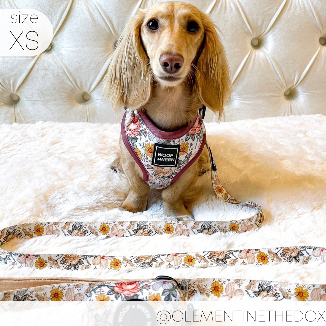 Adjustable Dog Harness product image 8