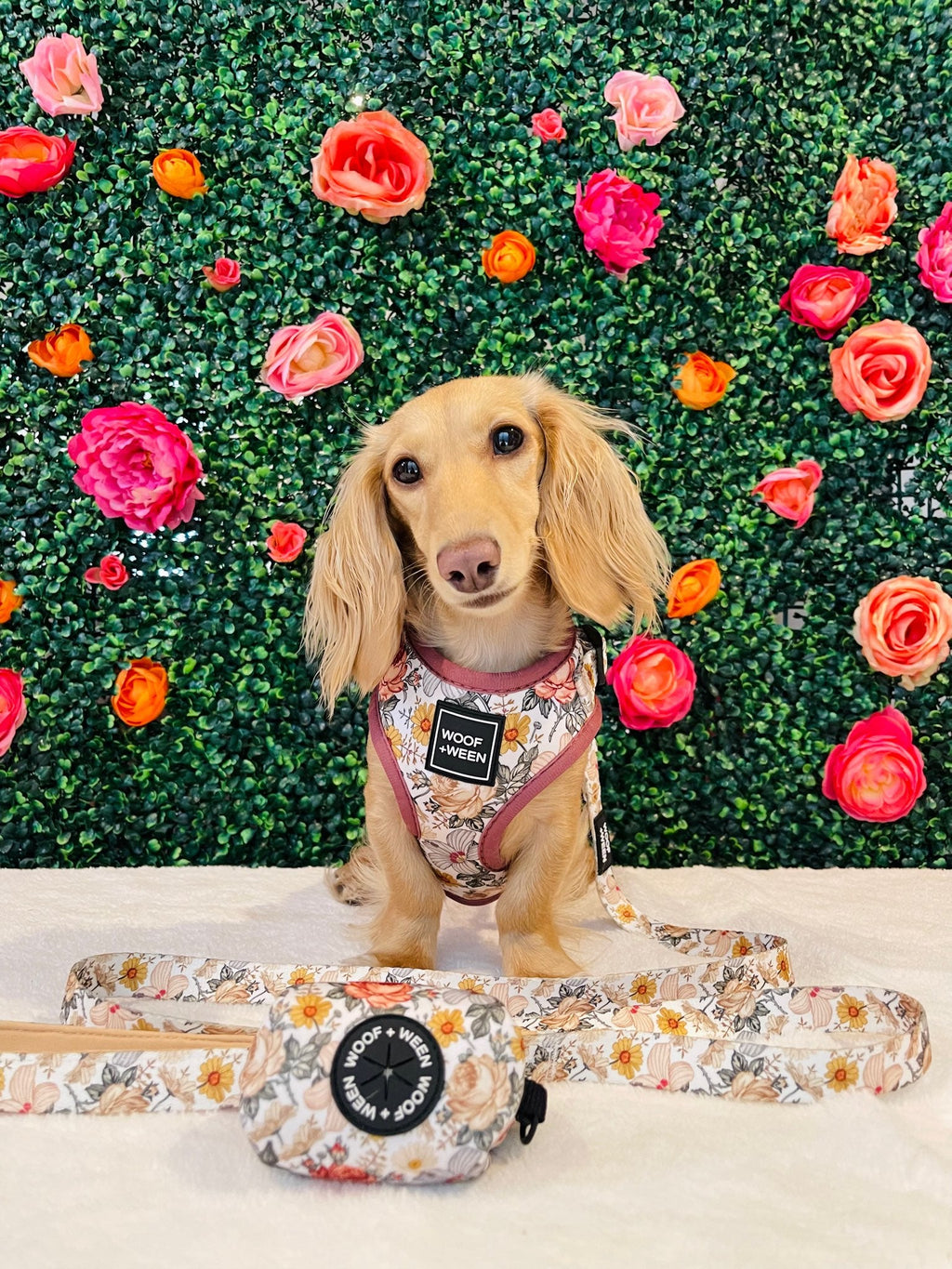 Adjustable Dog Harness product image 10