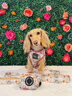 Adjustable Dog Harness product image 10