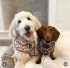 Adjustable Dog Harness product image 12