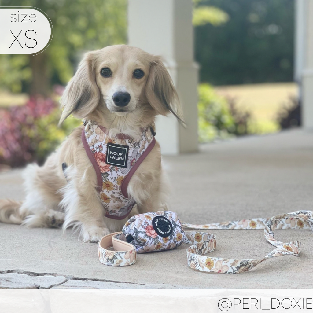Adjustable Dog Harness product image 13