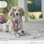 Adjustable Dog Harness product image 13