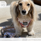 Adjustable Dog Harness product image 14