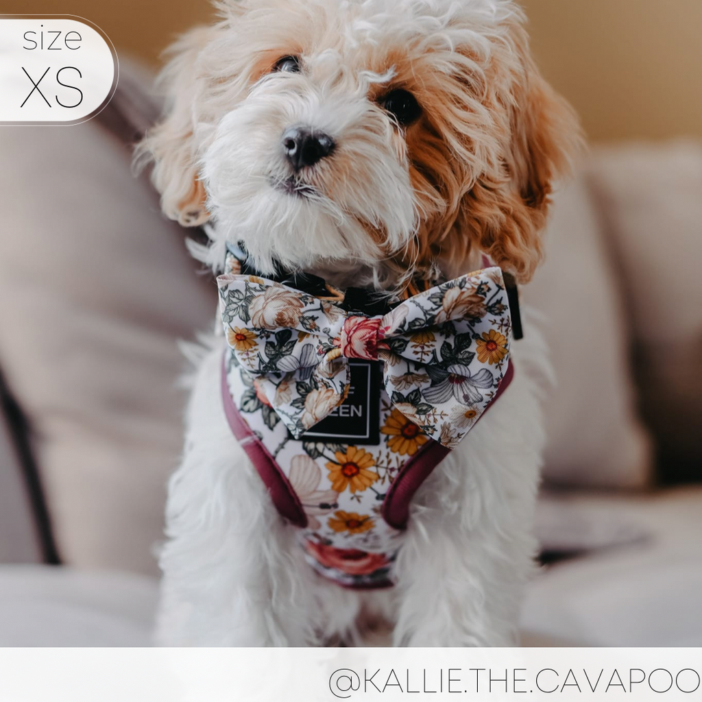 Adjustable Dog Harness product image 15